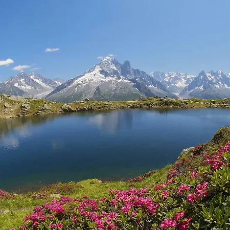 Melisse * Chamonix